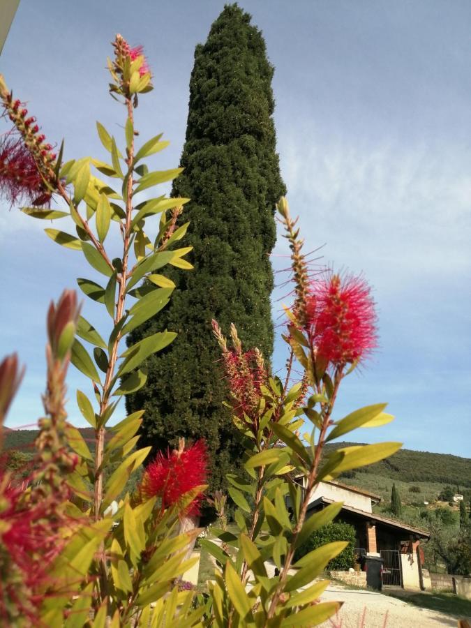 Borgo Buciardella Villa Baschi Eksteriør bilde