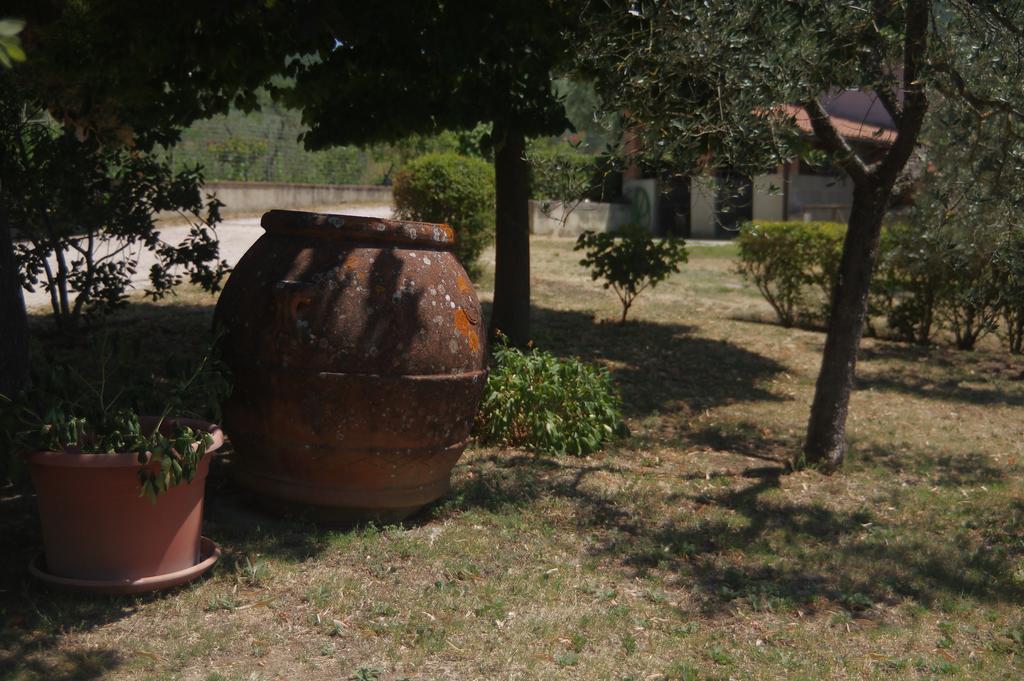 Borgo Buciardella Villa Baschi Eksteriør bilde